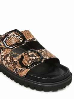 Ciabatte Galia Vegan G106282 Marrone