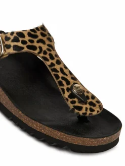 Infradito Anais F00629 Marrone