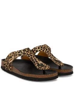 Infradito Anais F00629 Marrone