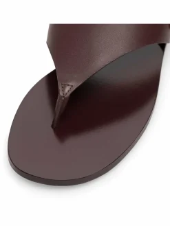 Infradito EMI-112691 Marrone