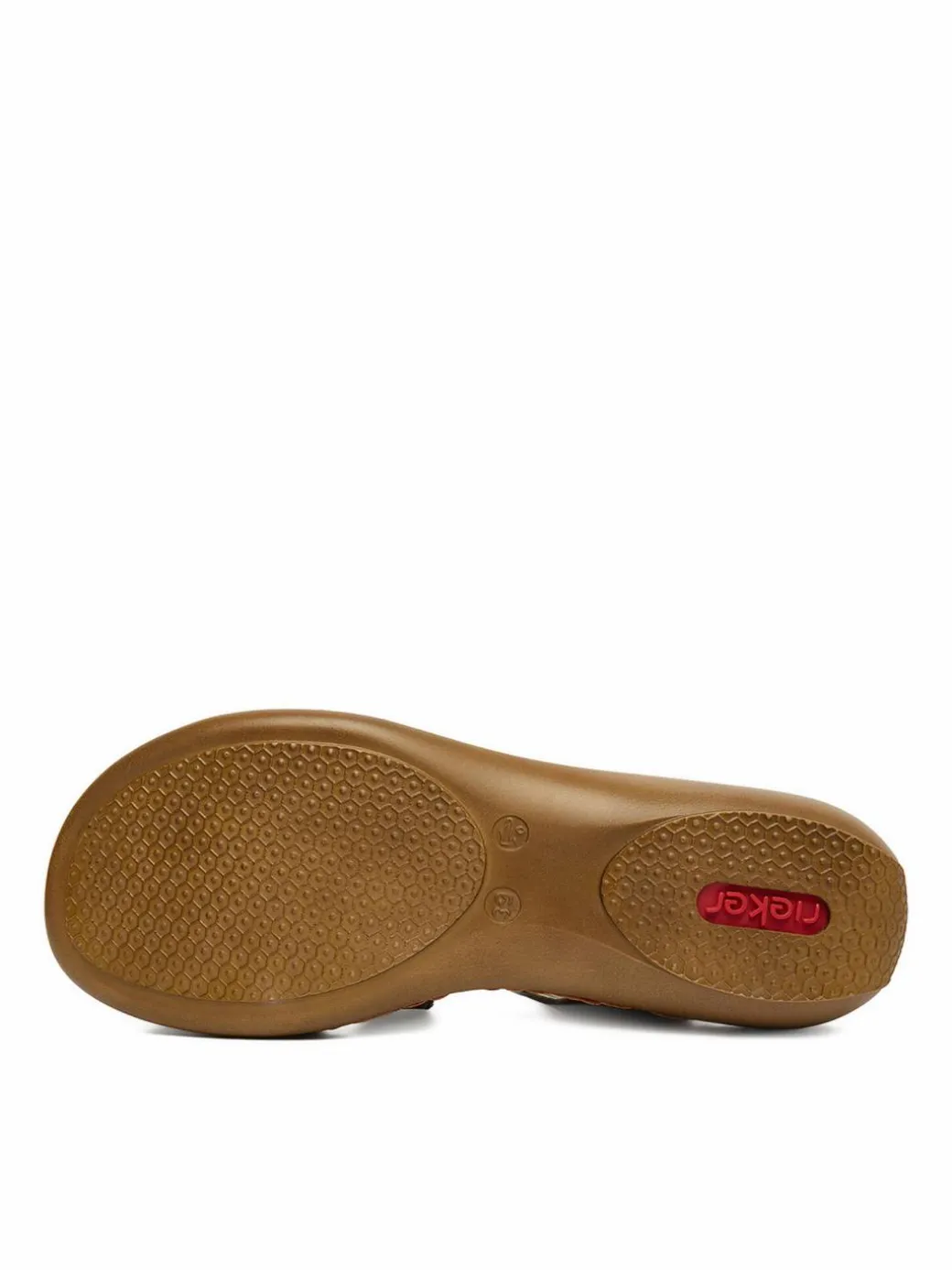 Sandali CEO-659C7-24 Marrone