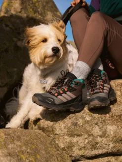 Scarpe da trekking Terrex Skychaser AX5 Mid GORE-TEX CLIMAWARM+ JH7807 Marrone