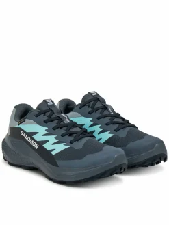 Scarpe running Alphaglide Gore-Tex L47802500 Grigio