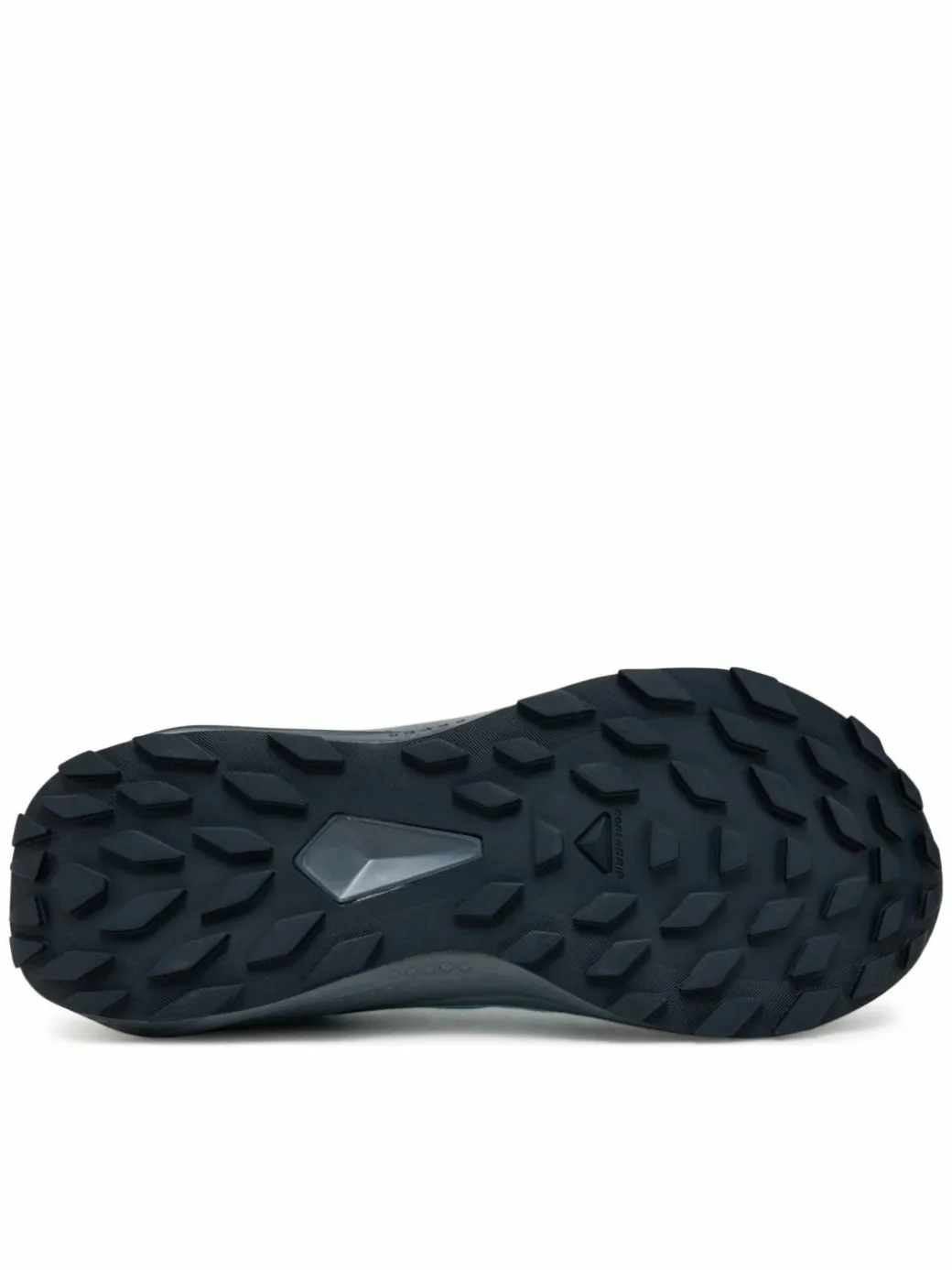 Scarpe running Alphaglide Gore-Tex L47802500 Grigio