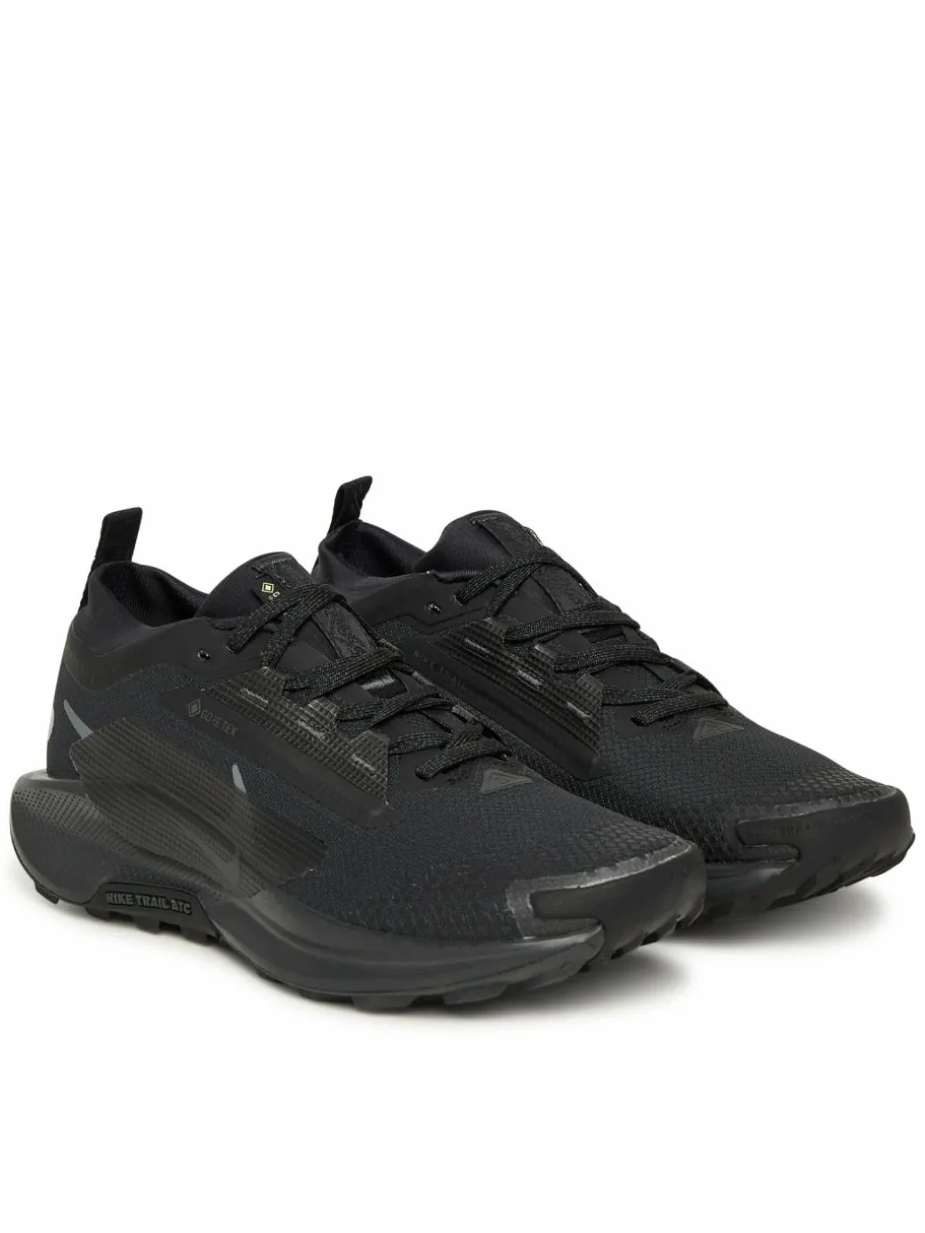 Scarpe running W Pegasus Trail 5 Gtx FQ0912 002 Nero