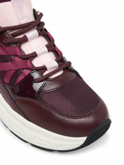 Sneakers Haddey 14428870 Bordeaux