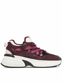 Sneakers Haddey 14428870 Bordeaux