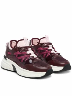 Sneakers Haddey 14428870 Bordeaux